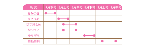 桃のカレンダー