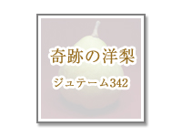 ジュテーム342